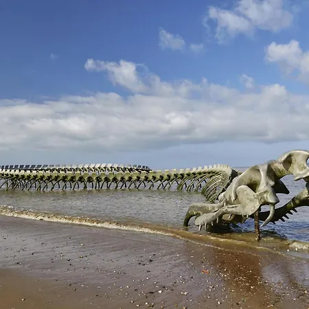 Pour 4 Centre Et Bord De *